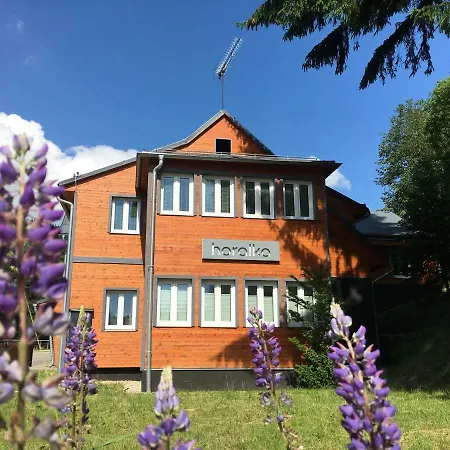 Apartmanovy Dum Horalka *