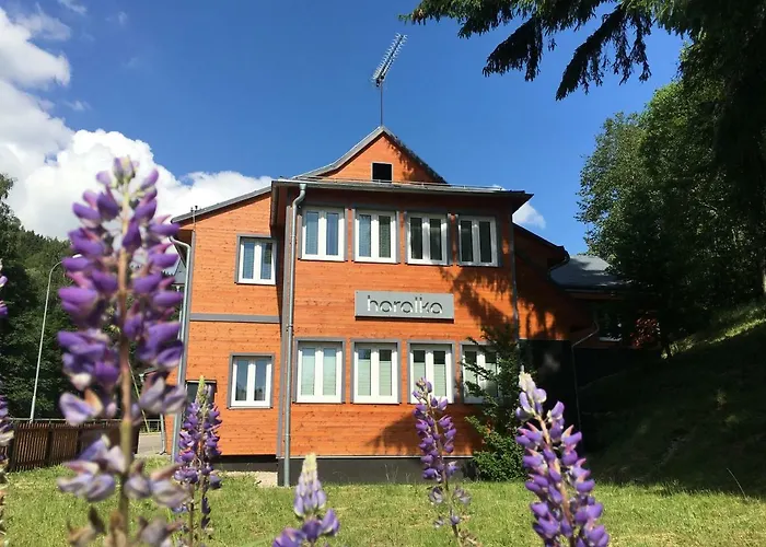 Apartmanovy Dum Horalka *